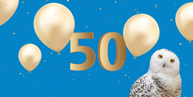 Schneeeule vor blauem Hintergrund mit goldenen Luftballons und blauer 50