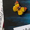 Schmetterling mit Tonspur und Textschnipseln