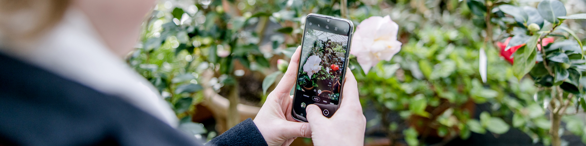 Frau bestimmte mit Handy-App eine Pflanze in einem Garten