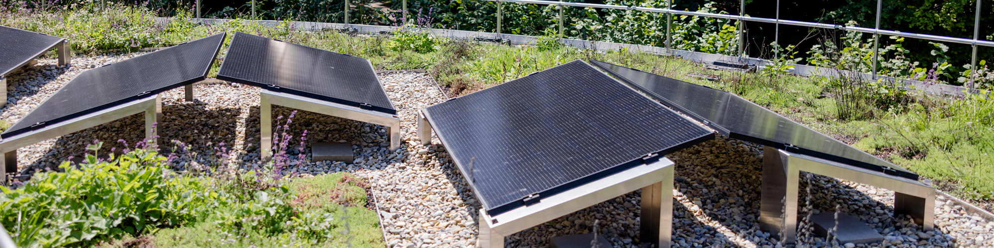 Photovoltaikanlage auf einem begrünten Dach