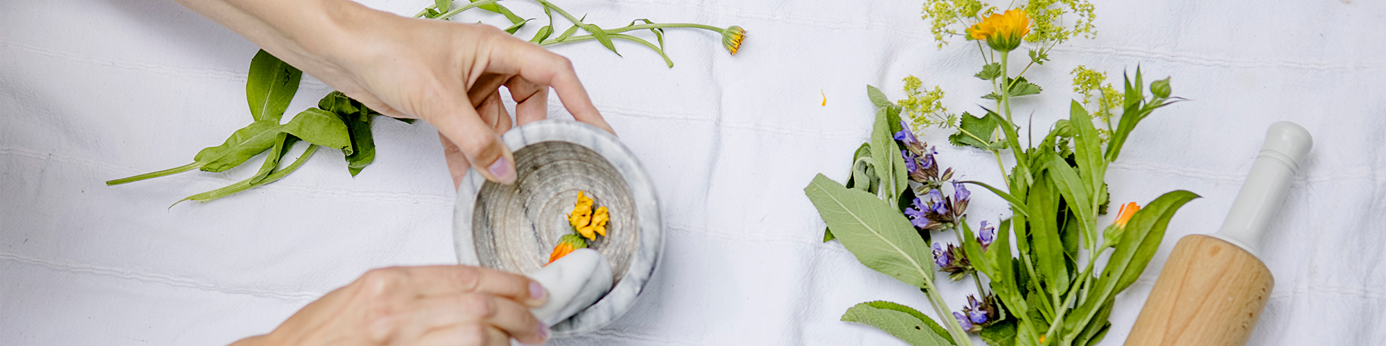 Teilnehmerin eines Wildkräuterkurses verarbeitet frische Kräuter in einem Mörser