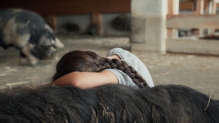 Filmstill aus "When Pigs fly": Person schaut mit abgewandtem Gesicht auf ein Schwein im Hintergrund.
