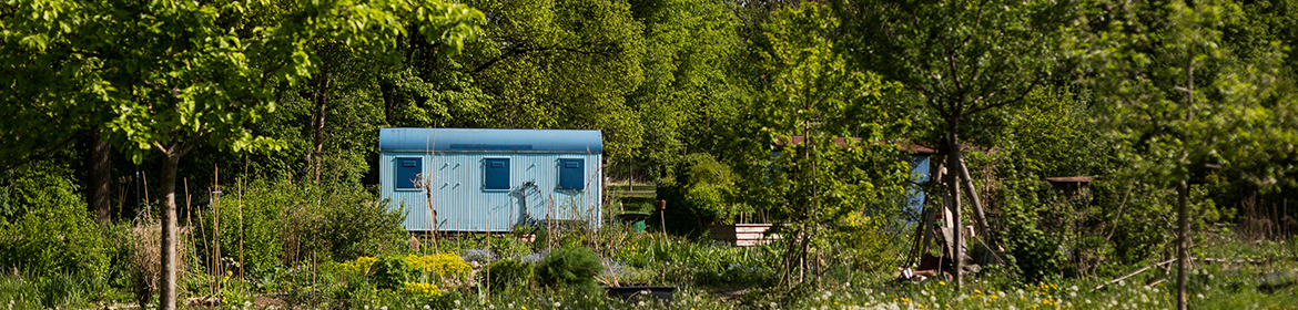 blauer altmodischer Bauwagen in grüner Landschaft