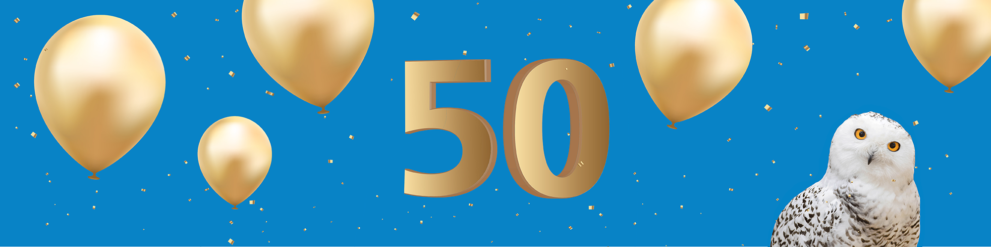 Schneeeule vor blauem Hintergrund mit goldenen Luftballons und blauer 50